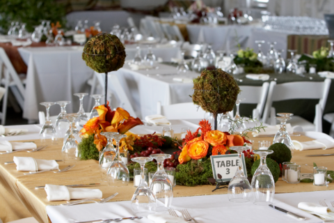 Gala reception, places ready for guests. table with food and drink. Non-profit event planner - Cultivate Event Planning
